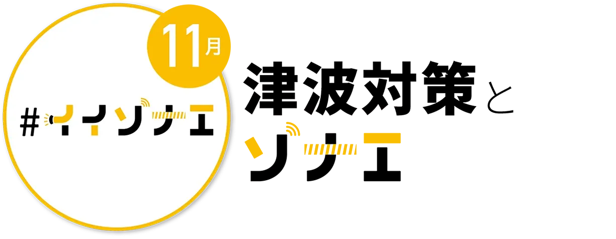 11月　津波対策